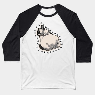 Sleeping Cat Baseball T-Shirt